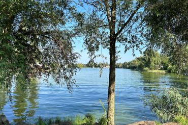 Avis aux propriétaires de chiens
